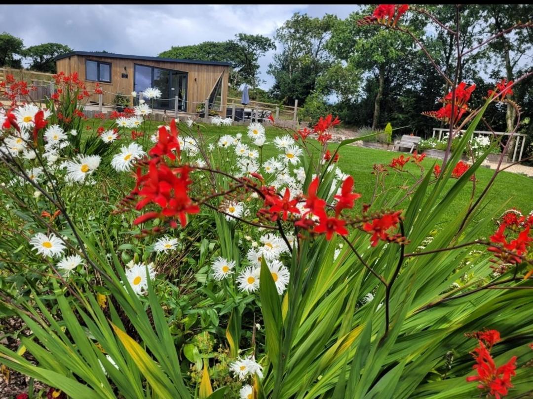 Brondini View Cabin Bagian luar foto